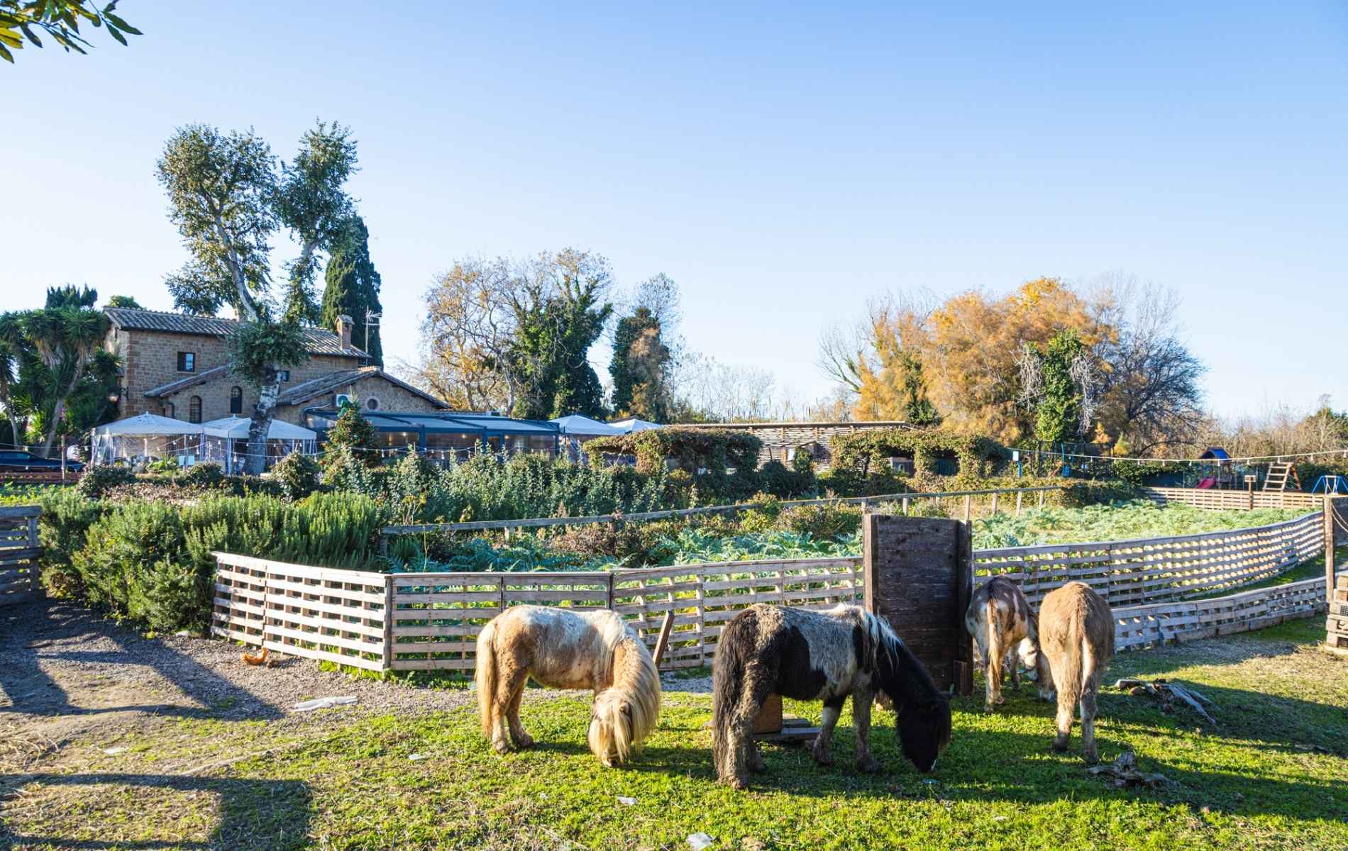 Attività per famiglie